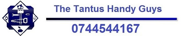 The Tantus Handy Guys