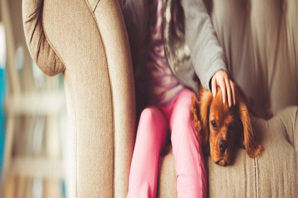 The Thinkingpets Behaviour Practice