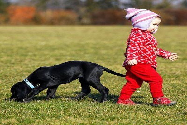 The Thinkingpets Behaviour Practice