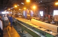 The Wattle Company Sa (Pty) Ltd