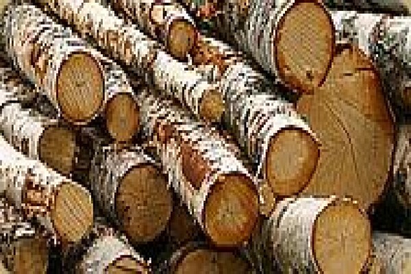 The Wood Joint
