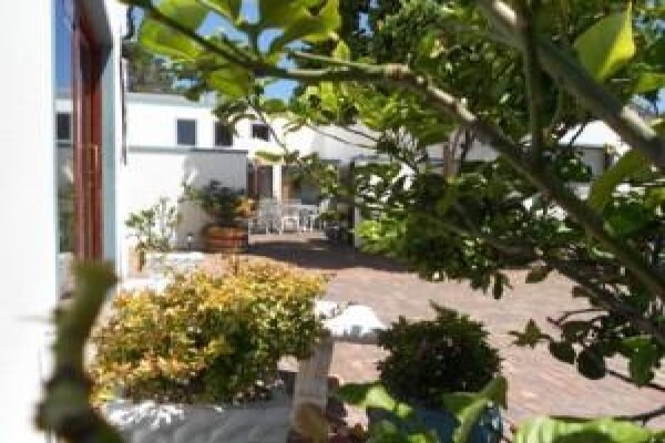 Home Detox South Africa
