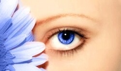 Freeman Grant & Stacy Optometrists