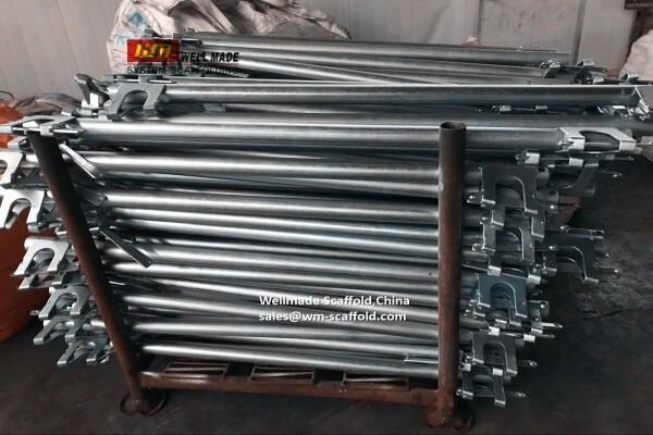 Tianjin Wellmade Scaffold CO.,LTD