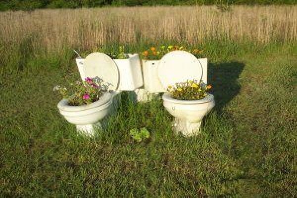 Laws Plumbing