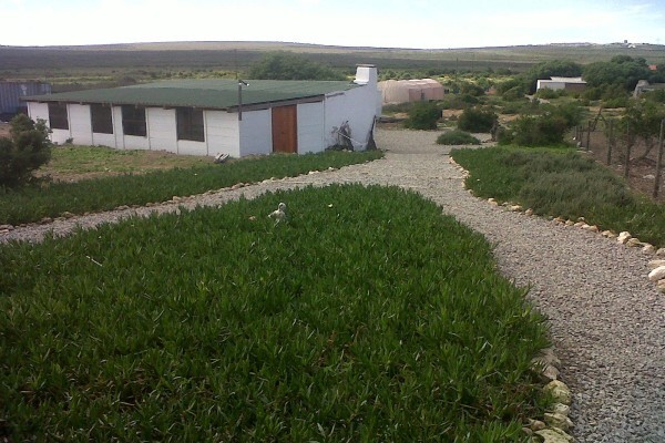 Eljada Restoration Centre & Mission