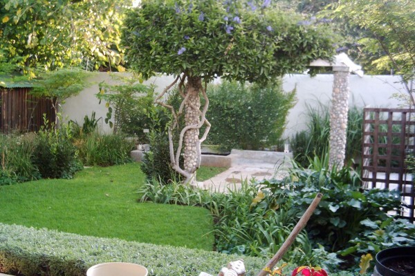 Apple Landscape jhb