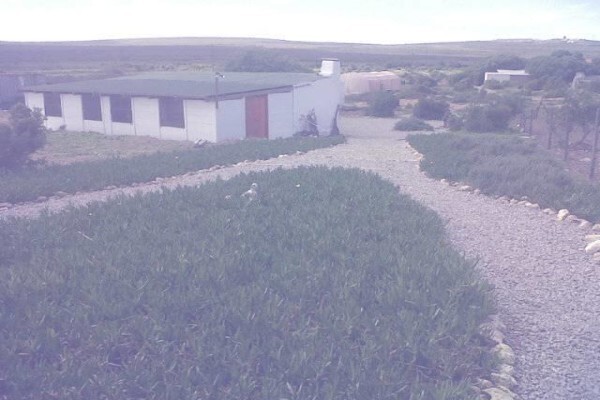 Eljada Restoration Centre & Mission