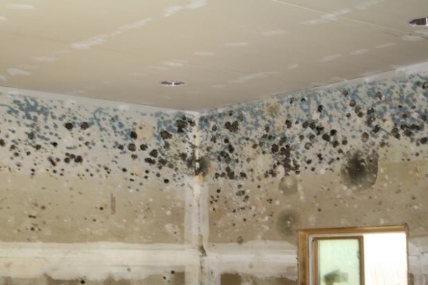 PROPAINT Painting & Renovations