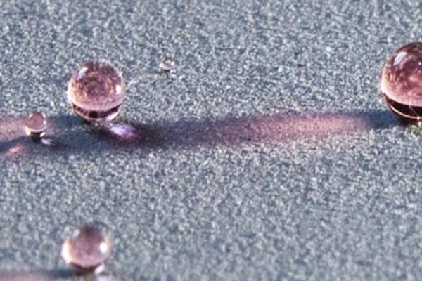 PROPAINT Painting & Renovations