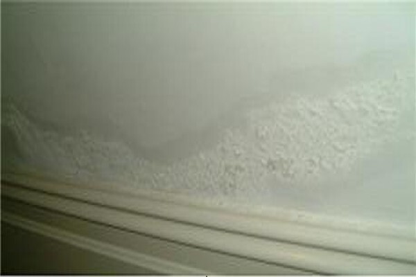 PROPAINT Painting & Renovations
