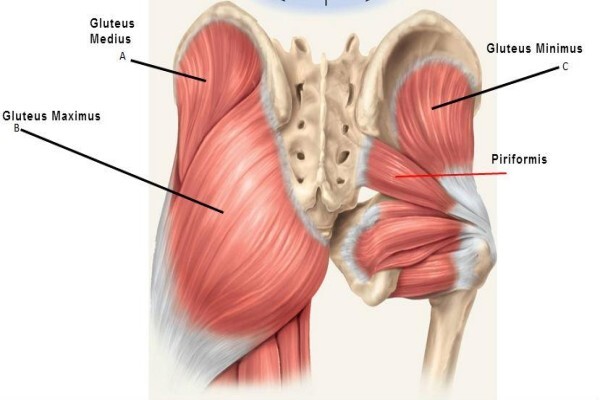 Van Zyl Physiotherapy
