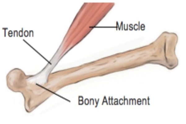 Van Zyl Physiotherapy