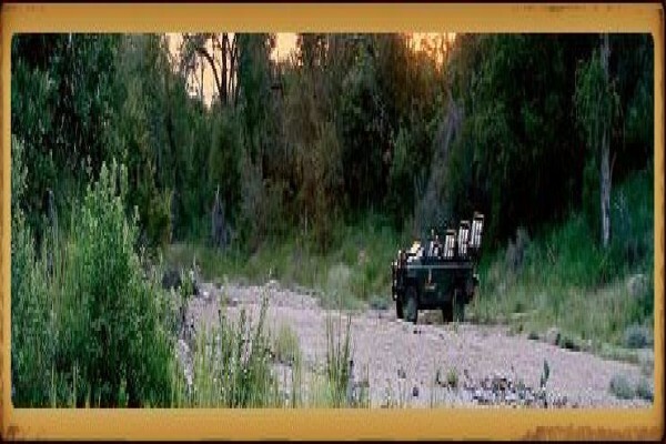Sussi Safaris & Travel Services