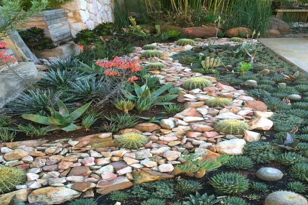 Apple Landscape jhb cc