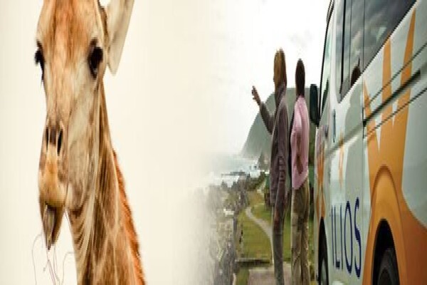 Sussi Safaris & Travel Services