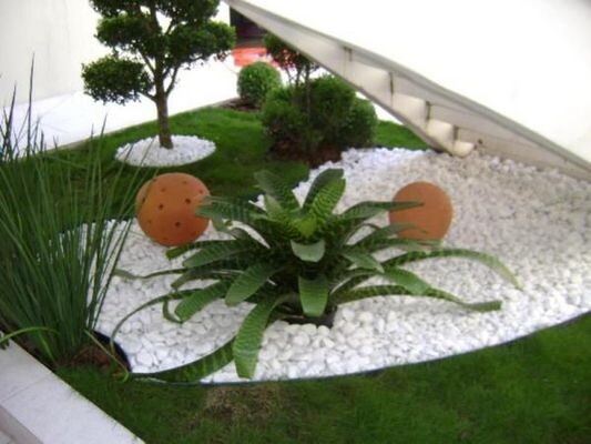 Tranquility Gardens