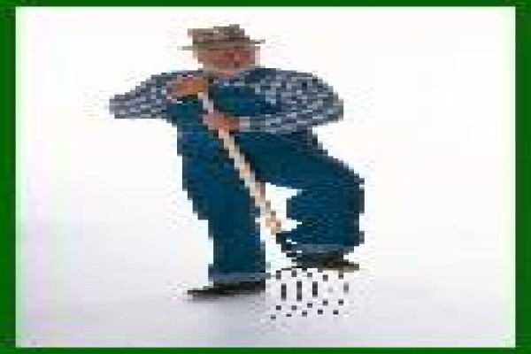 Domestic Worker Administration Services