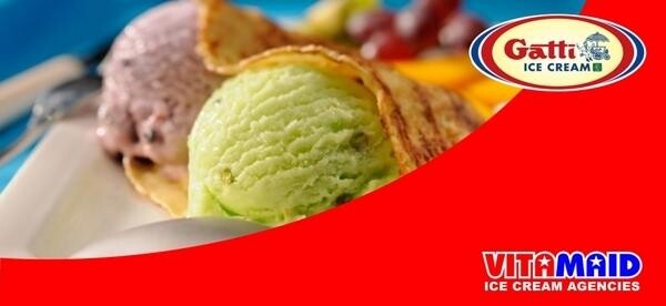 Vitamaid Ice Cream