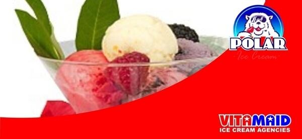 Vitamaid Ice Cream