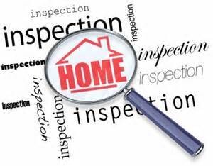 Pestech Electrical, Beetle & Plumbing inspections & Certificates