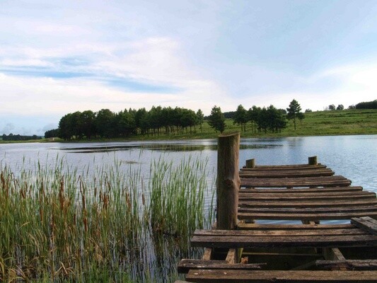 Harmony Retreat