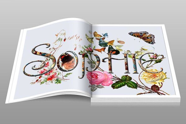 Spatter Media