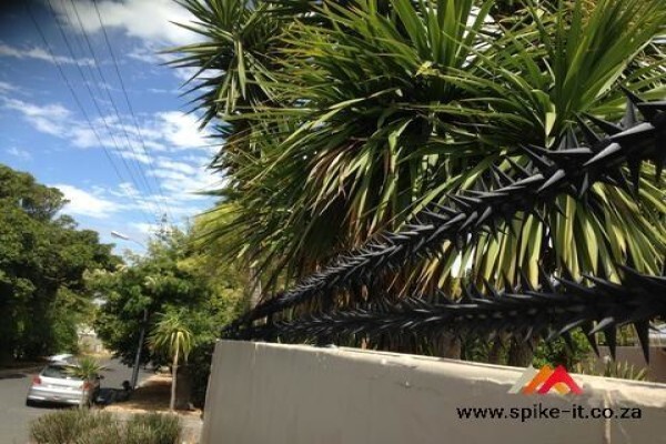 Spike-It
