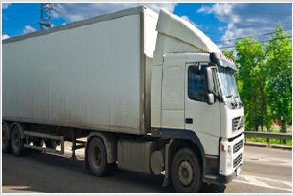 Oceanic Shipping and Marine