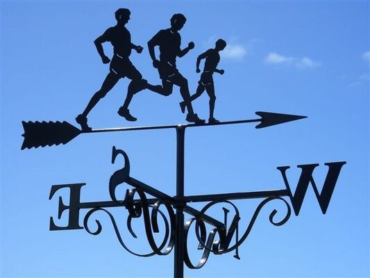 Weathervanes Exclusive