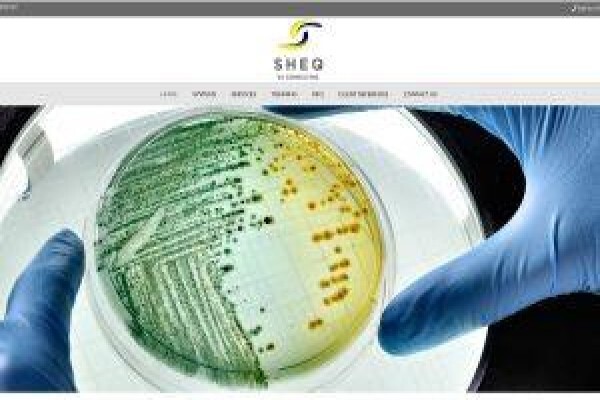 VisualWeb