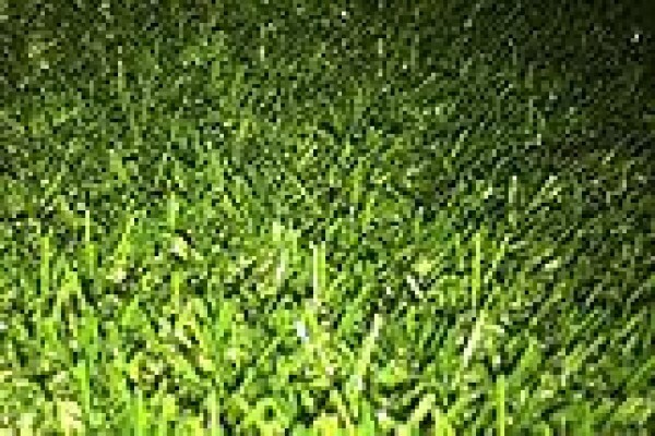 Turf Spec Landscapes