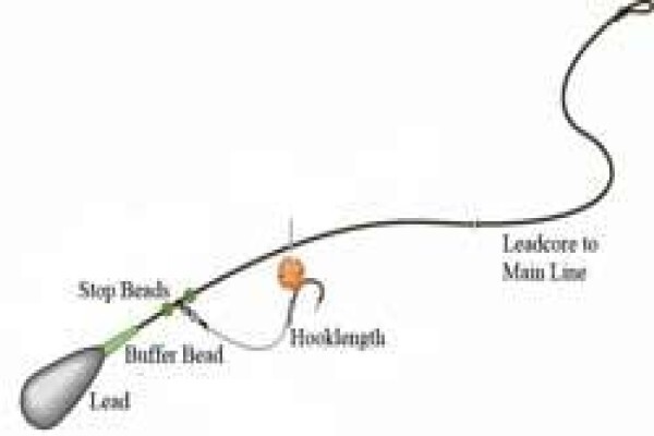 Carp Fishing Rigs
