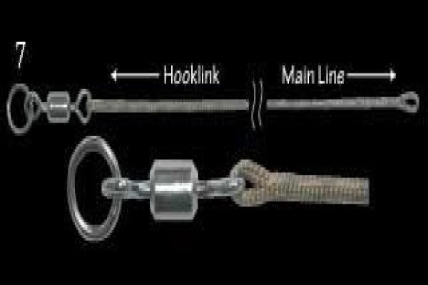 Carp Fishing Rigs