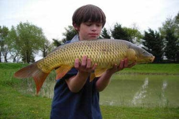Carp Fishing Tips