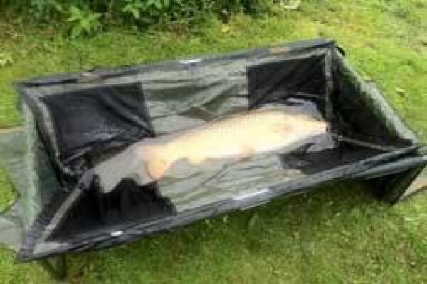 Carp Fishing Tips