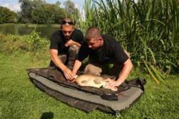 Carp Fishing Tips