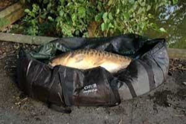 Carp Fishing Tips