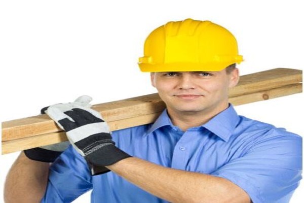 Cockroach Elimination