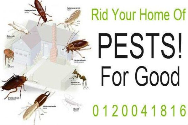 Pest Control Pretoria