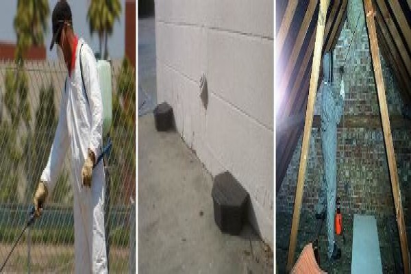 Pest Control Pretoria