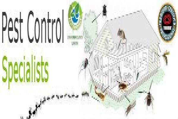 Pest Control Pretoria