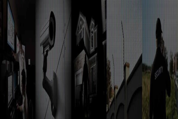 Intertel Investigations