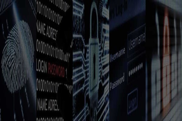 Intertel Investigations