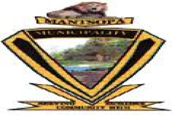 MMB Consulting Inc