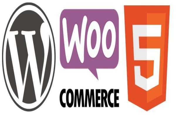 Web SEO