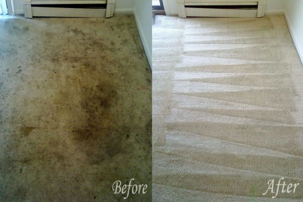Benoni Carpet and Upholstery Cleaning