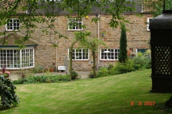 Designer Gardens Landscaping