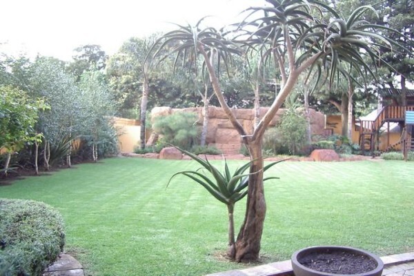Designer Gardens Landscaping