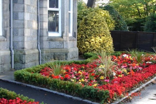 Designer Gardens Landscaping
